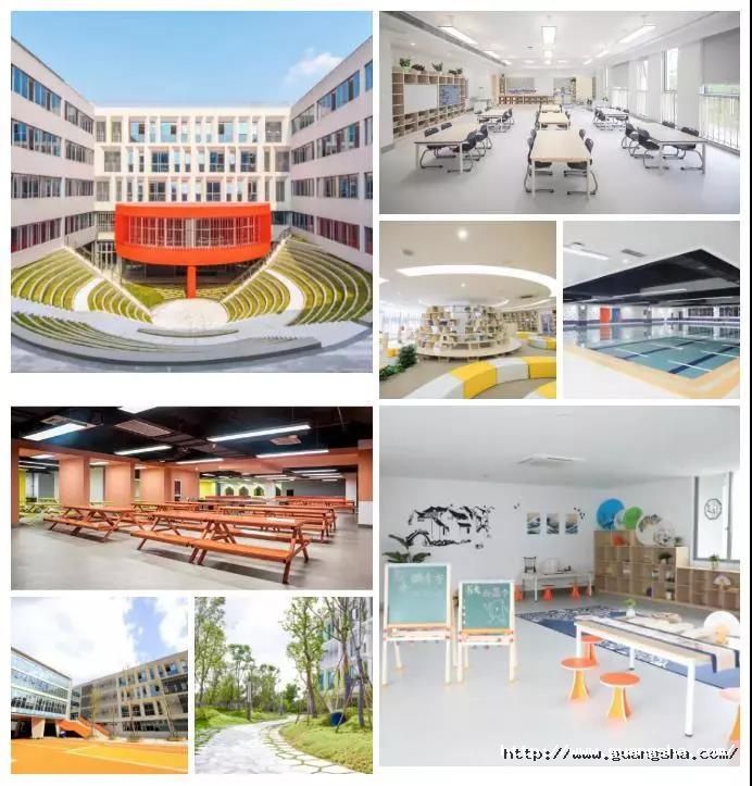 1562058466141221t7GF.jpg 微信圖片_20190702170551.jpg