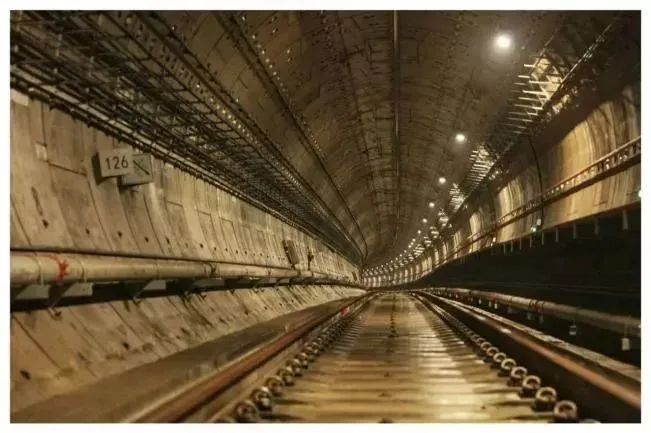 1731657516317716xPEu.jpg 18d09285c6be9bc6501073e3260f9a28.jpg